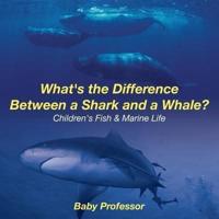 What's the Difference Between a Shark and a Whale?   Children's Fish & Marine Life