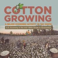 Cotton Growing : A Major Economic Activity in the South   U.S. Economy in the mid-1800s Grade 5   Economics