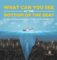 What Can You See in the Bottom of the Sea? A Journey to the Mariana Trench Grade 5   Children's Mystery & Wonders Books