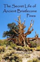The Secret Life of Ancient Bristlecone Pines