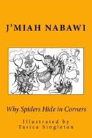 Why Spiders Hide in Corners