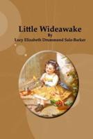 Little Wideawake