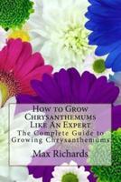 How to Grow Chrysanthemums Like An Expert: The Complete Guide to Growing Chrysanthemums
