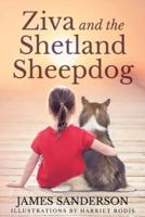 Ziva and the Shetland Sheepdogs