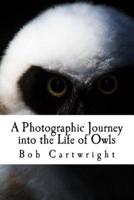 A Photographic Journey Into the Life of Owls