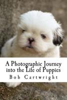 A Photographic Journey Into the Life of Puppies