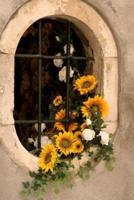A Romantic Oval Window With Yellow Sunflowers and White Roses Journal
