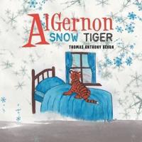 Algernon Snow Tiger