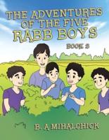 The Adventures of the Five Rabb Boys: Book 2