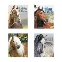 Horse Breeds