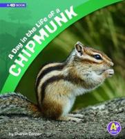 A Day in the Life of a Chipmunk