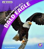 A Day in the Life of a Bald Eagle