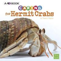 Caring for Hermit Crabs
