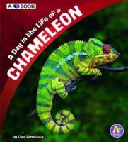 A Day in the Life of a Chameleon