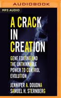 A Crack in Creation