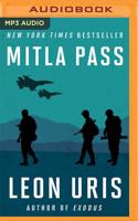 The Mitla Pass