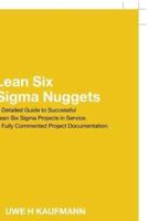 Lean Six Sigma Nuggets: A Fully Commented Project Documentation