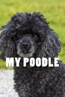 My Poodle (Journal / Notebook)