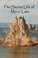 The Secret Life of Mono Lake