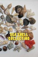 Sea Shell Collecting