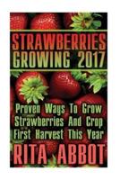 Strawberries Growing 2017