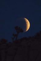 Awesome Blood Moon on a Dark Night in the Wilderness Journal