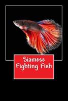 Siamese Fighting Fish (Journal / Notebook)