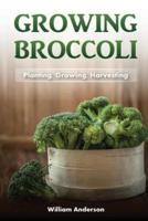Broccoli Growing