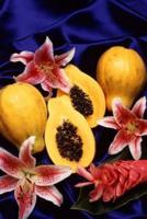 Food Journal Fresh Cut Papayas Weight Loss Diet Blank Recipe Book