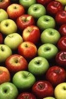 Food Journal Fresh Red Green Apples Weight Loss Diet Blank Recipe Book