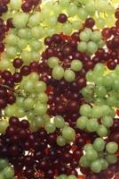 Food Journal Green Red Grapes Fresh Juicy Weight Loss Diet Blank Recipe Book