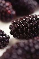 Food Journal Juicy Fresh Blackberries Weight Loss Diet Blank Recipe Book