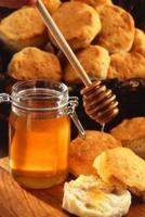 Food Journal Blank Recipe Book Honey Over Biscuits