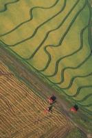 Farm Journal Rice Fields Harvest Aerial Shot