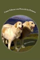 Como Educar a un Perro de los Pirineos/ How to Teach a Dog in the Pyrenees