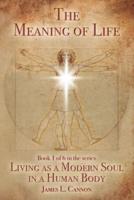 The Meaning of Life: Purpose and Mission of the Human Soul