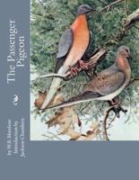 The Passenger Pigeon