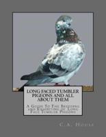 Long Faced Tumbler Pigeons and All About Them