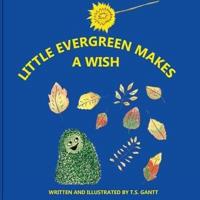 Little Evergreen Makes a Wish