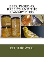 Bees, Pigeons, Rabbits and the Canary Bird