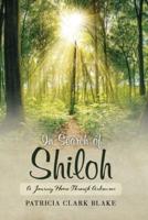 In Search of Shiloh