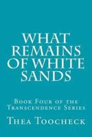 What Remains of White Sands