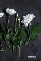 Floral Journal - Chrysanthemum Stem