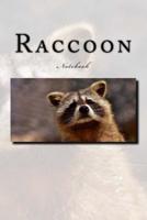 Raccoon Notebook