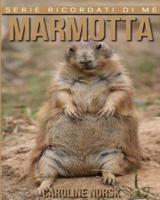 Marmotta