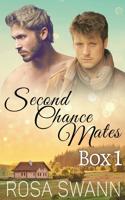 Second Chance Mates