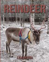 Reindeer