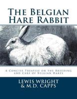 The Belgian Hare Rabbit