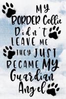 My Border Collie Didn't Leave Me They Just Became My Guardian Angel