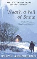 Neath a Veil of Snow